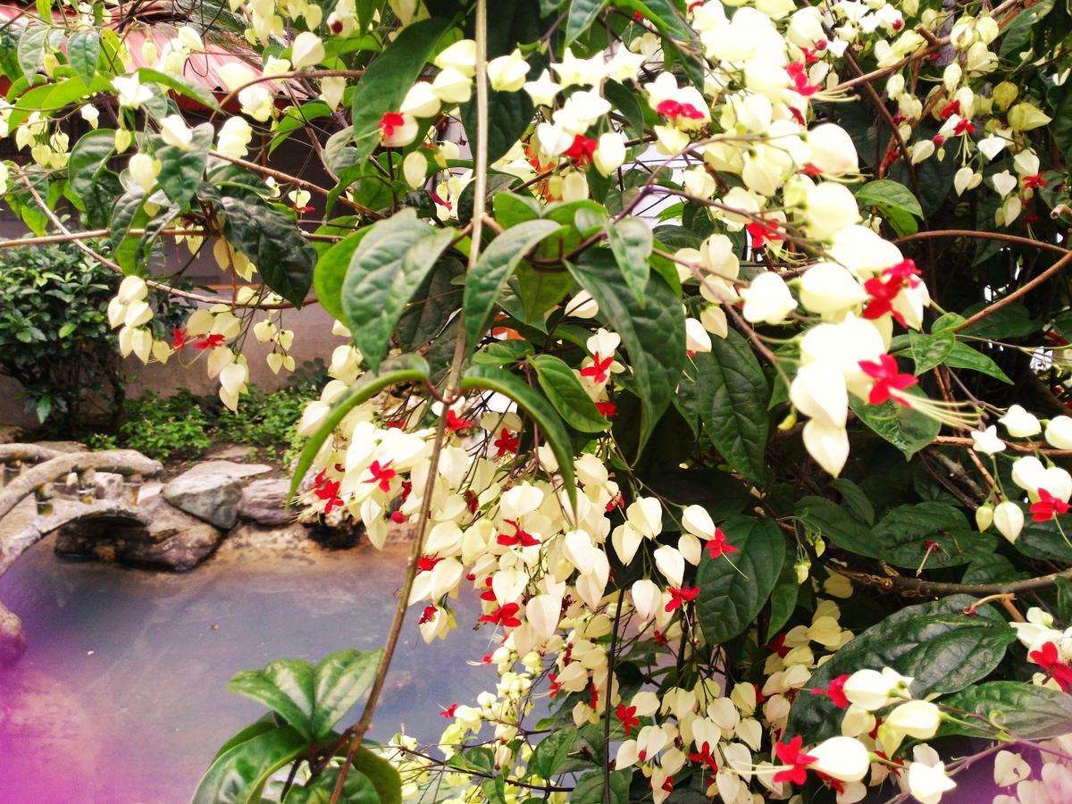 Js Hotspring Hotel รุ่ยซุ่ย ภายนอก รูปภาพ